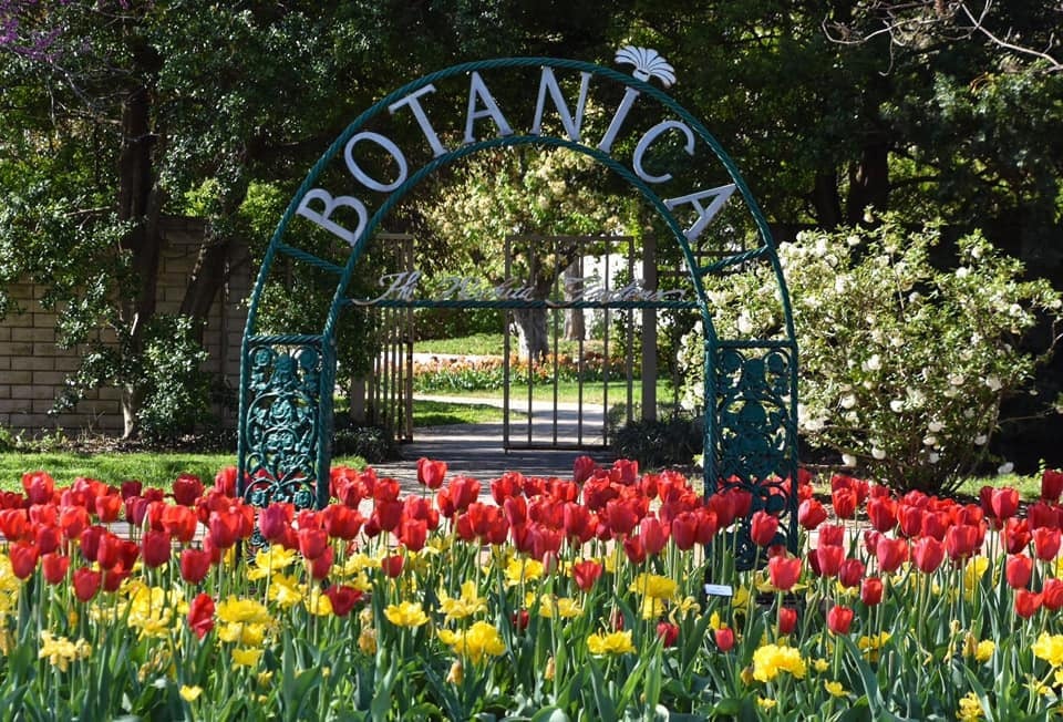Botanica